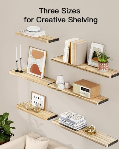 Amada Solid Paulownia Wood Wall Shelves (6 Count)