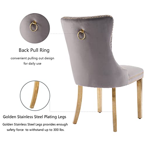 Grey Velvet Dining Chairs Set of 4 (4 Count)