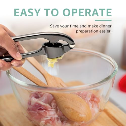 Garlic Press Crusher & Mincer