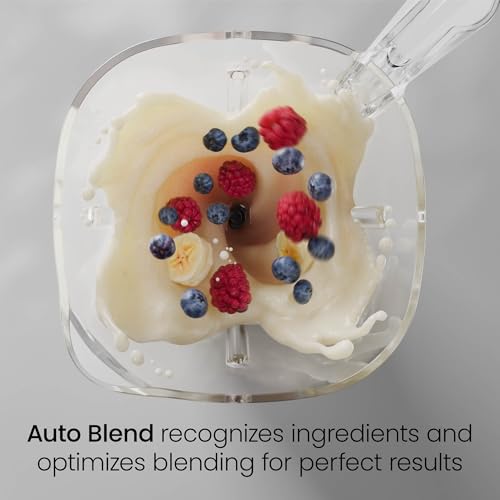 Obliterator 48 oz Countertop Blender for Smoothies