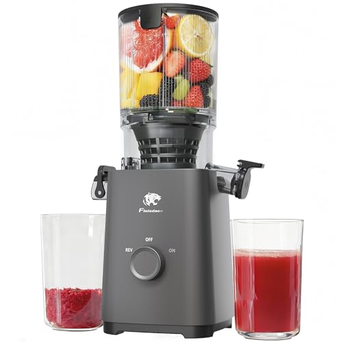 Cold Press Juicer