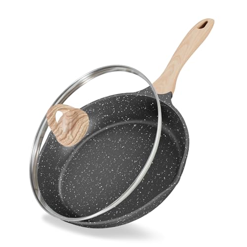 8" Nonstick Frying Pan Skillet Small Egg Pan with Lid Dual Spouts