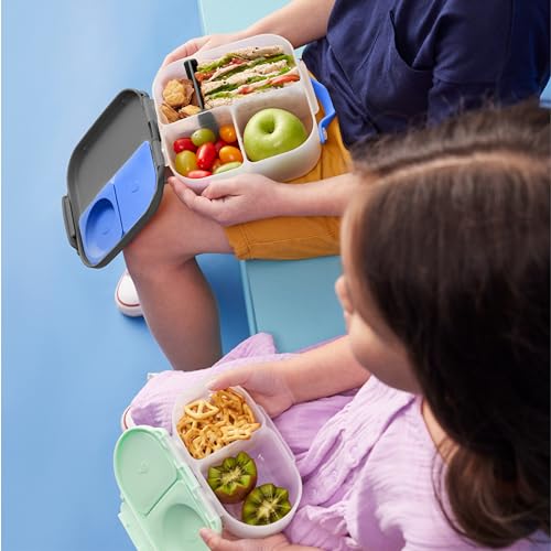 Mini Lunch Box