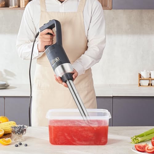 Commercial Immersion Blender