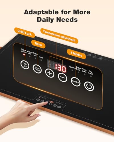 Electric Warming Tray