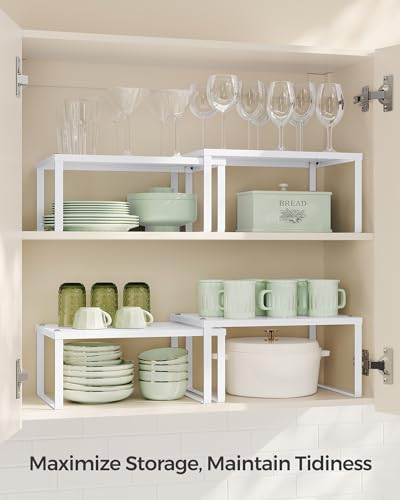 Set of 2 Metal Spice Racks (2 Count)