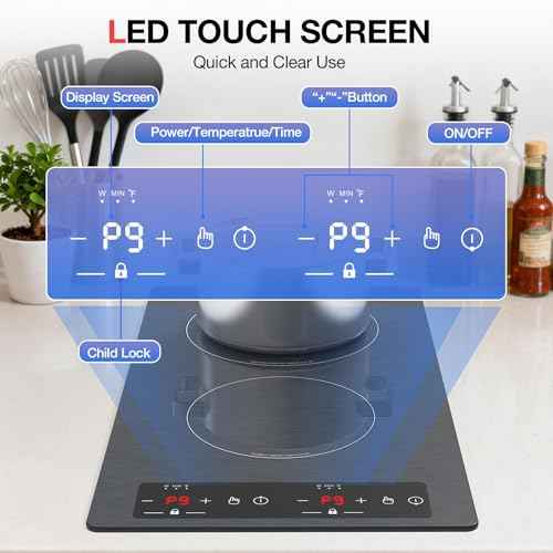 Double Induction Cooktop 110v