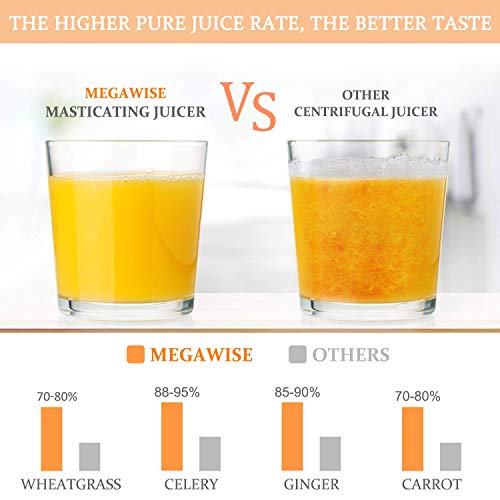 Slow Masticating Juicer