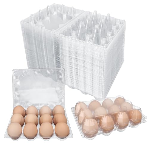 100 Pack Bulk Egg Cartons (100 Count)