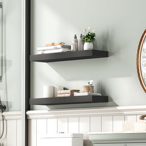 Floating Shelves for Wall (2 Count)