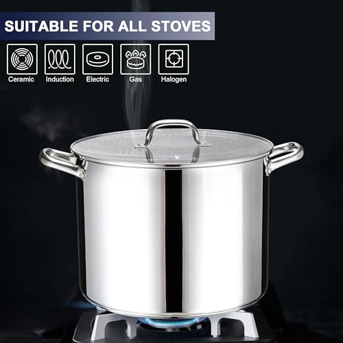 20 QT Stainless Steel Large Stock Pot
