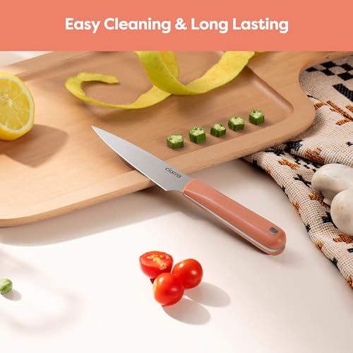 Professional Kitchen Knife Set 4 PCS (4 Count)