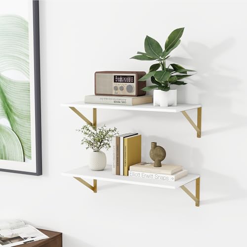 24W x 12D Deep Floating Shelves Set of 2 White & Gold (2 Count)