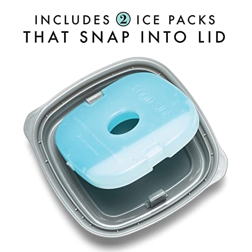 Small Plastic Containers With Lids 8 oz (6 Count)