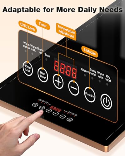 Electric Warming Tray
