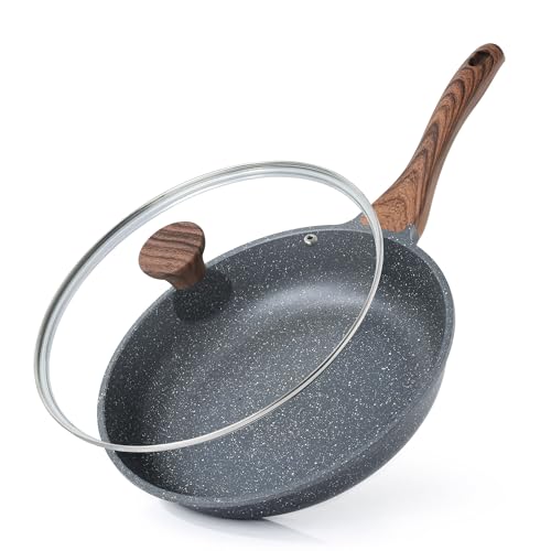 9.5inch Nonstick Frying Pan Chef's Pan with Glass Lid
