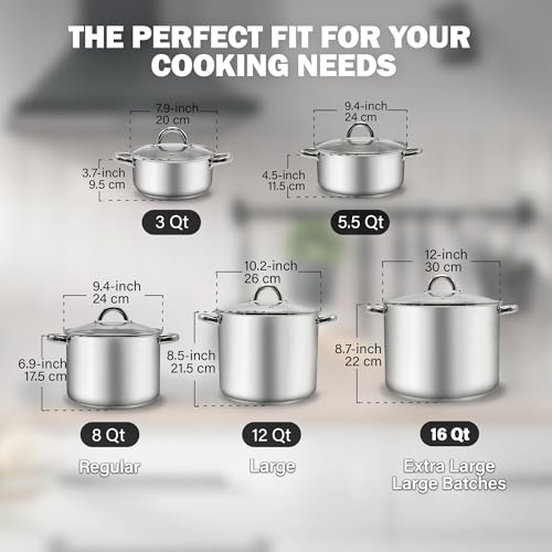 Basics 5.5 Quart Stainless Steel Stock Pot with Lid