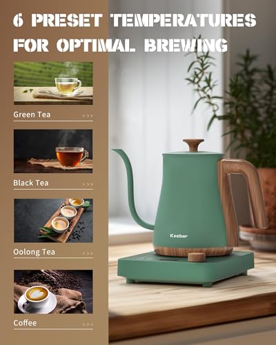 Gooseneck Electric Kettle