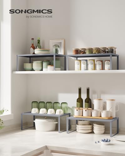 Set of 2 Metal Spice Racks (2 Count)