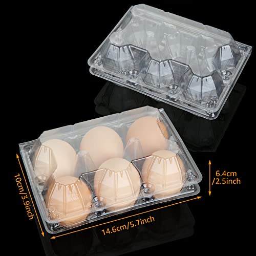 100PCS Egg Cartons Cheap Bulk (100 Count)