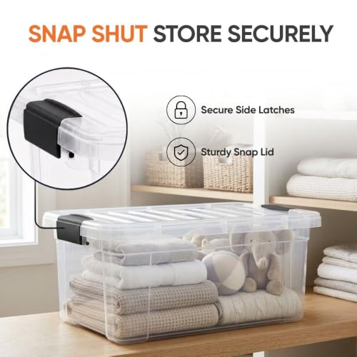 Storage Bins with Lids (2 Count)
