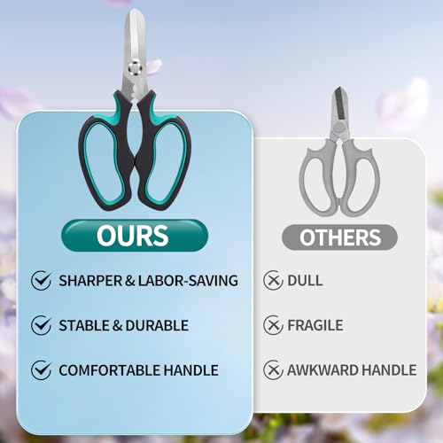 Pruning Shears