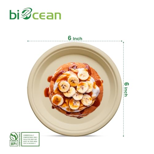 6 Inch Compostable Plates 100 Pack Heavy Duty Compostable Paper Plate (100 Count)