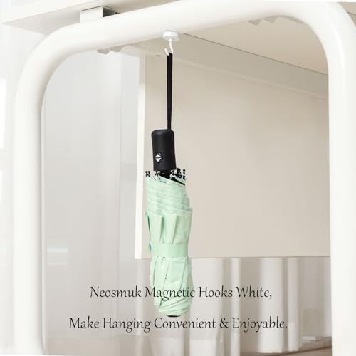 Magnetic Hooks (10 Count)