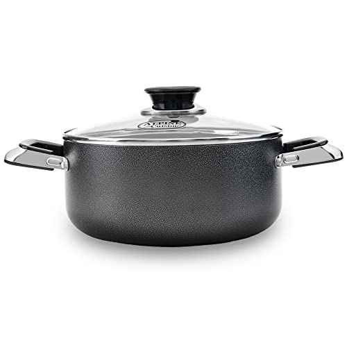 4 Quart Non stick Stock Pot with Tempered Glass Lid and Carrying Handles