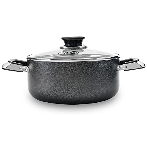 5 Quart Non stick Stock Pot with Tempered Glass Lid and Carrying Handles