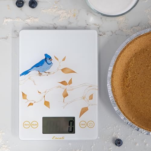 Arti Blue Jay Glass Food Scale Digital Countertop Kitchen