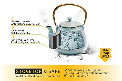 Japanese Cast Iron Tea Kettle with Stainless Steel Infuser