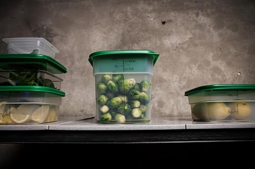 Food Storage Container with Lid (11.84 Ounce)