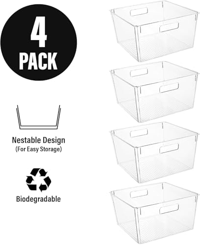 Extra Large Clear Plastic Storage Bins (4 Count)