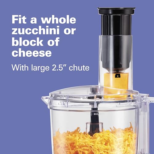 10 Cup Food Processor & Vegetable Chopper