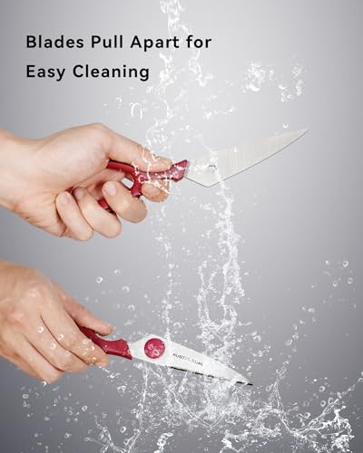 Kitchen Scissors for Food