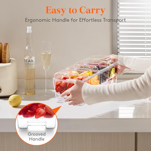 Chilled Condiment Caddy with 4 Compartment & Individual Lids
