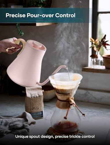 Gooseneck Electric Kettle with ±1℉ Temperature Control 0.9 Liter