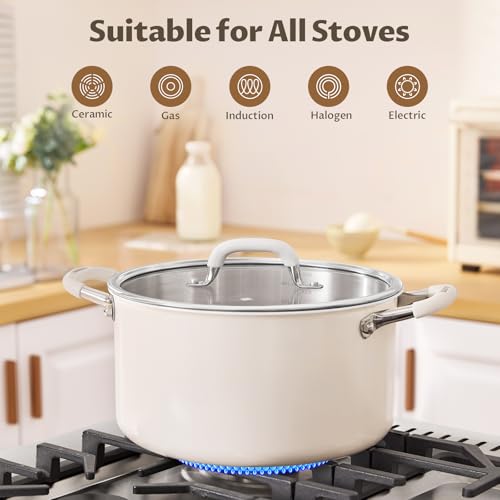 6QT Fully Clad 3