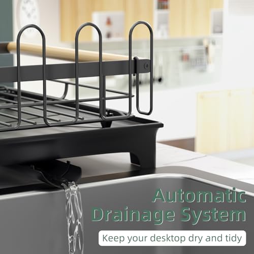 2 Tier Dish Rack with Drainboard