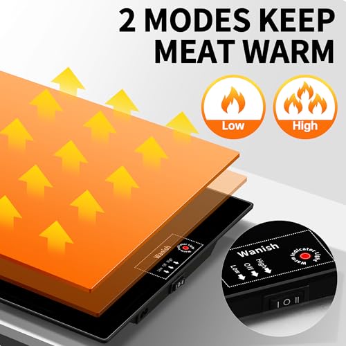 Electric Warming Tray