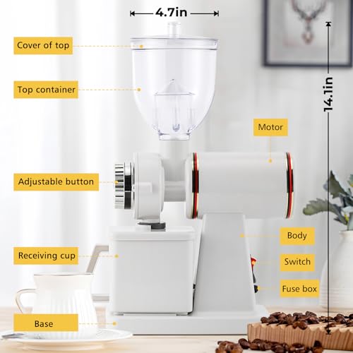 Electric Burr Coffee Grinder