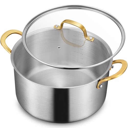 6 QT Stock Pot with Lid