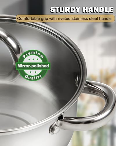 Basics 8 Quart Stainless Steel Stock Pot with Lid