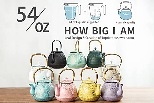 Tea Kettle for Stove Top
