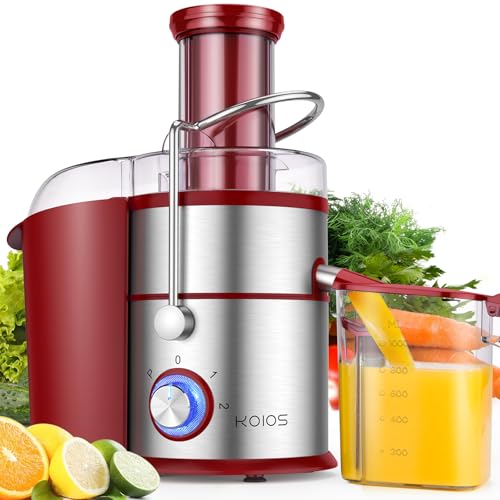 1300W Centrifugal Juicer Machine