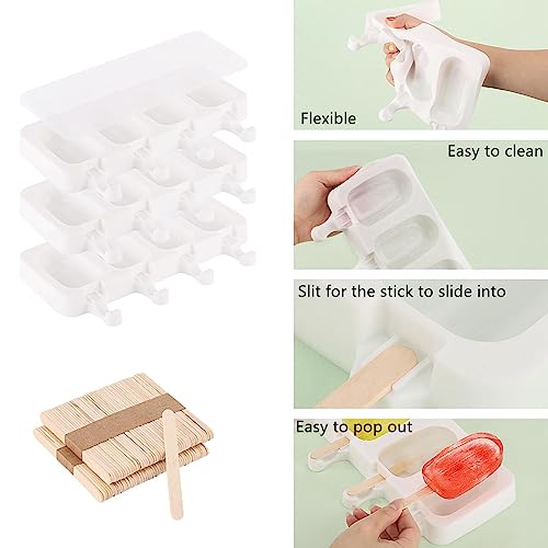 3 Set Popsicles Molds with Lids and 100 Pcs Wooden Popsicles Sticks (3 Count)