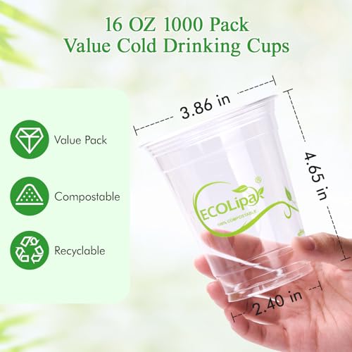 1000 Count 16 OZ Clear Compostable Plastic Cups for Restaurant