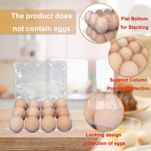 100 Pack Bulk Egg Cartons (100 Count)