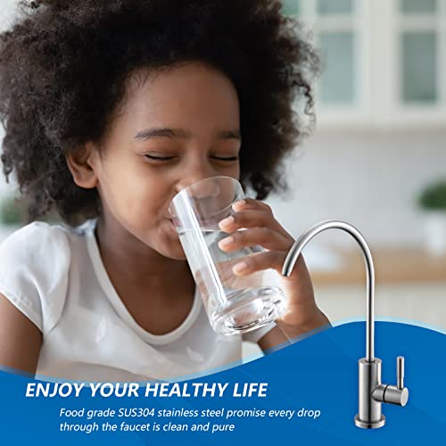 Drinking Water Faucet for RO System and Bar Sink